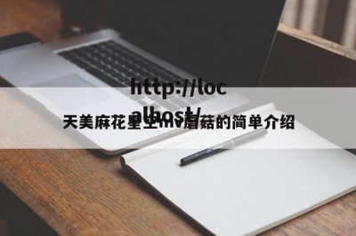 天美麻花星空mv蘑菇的简单介绍